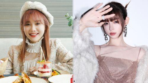 网红兔兔吃瓜视频,带你领略萌宠界的趣味生活 第3张 网红兔兔吃瓜视频,带你领略萌宠界的趣味生活 第3张