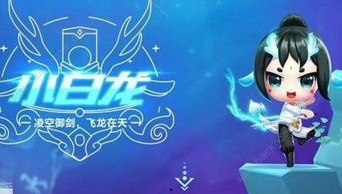 小白龙爆料蔻蔻视频,蔻蔻视频背后的惊人真相  第1张