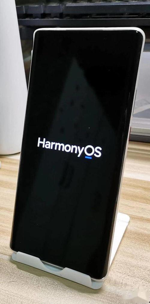 华为最新手表爆料软件,颠覆传统，智能生活新篇章  第3张